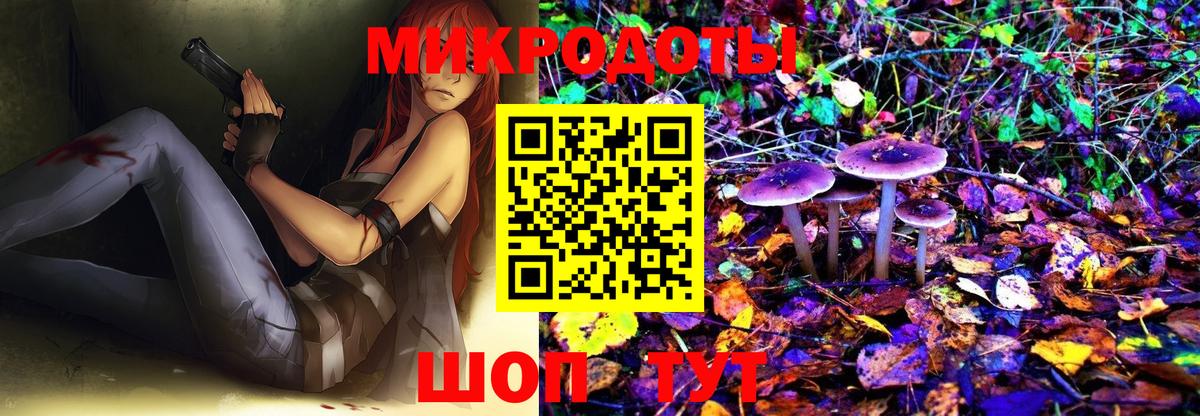 Псилоцибиновые грибы Magic Shrooms  Псилоцибиновые грибы Magic Shrooms  Ессентуки  Вход с VPN 
